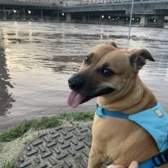 Fundraising Page: Sean OMalley